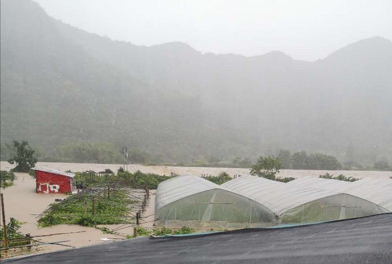 1598404187398010.jpg 1.jpg