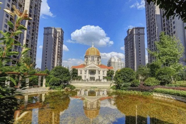 1691483600741302.jpg 动图合集1.jpg