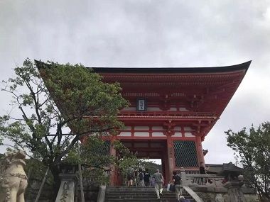 1572486346384216.jpg 微信图片_20191031094526.jpg