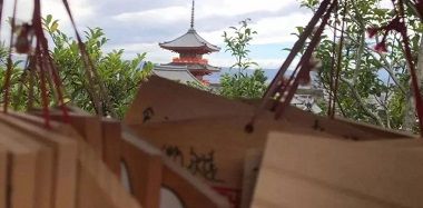 1572486350979003.jpg 微信图片_20191031094529.jpg